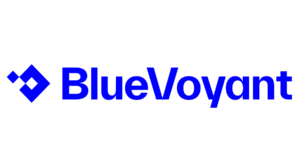BlueVoyant